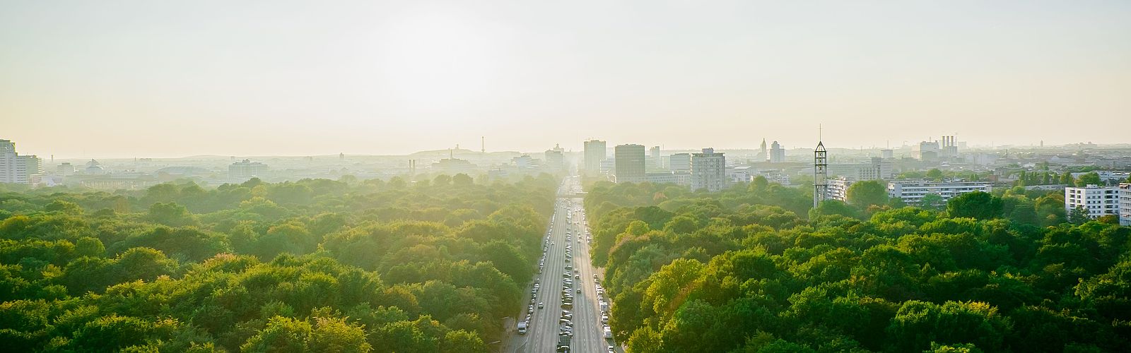 Aerial view of highway admidst trees